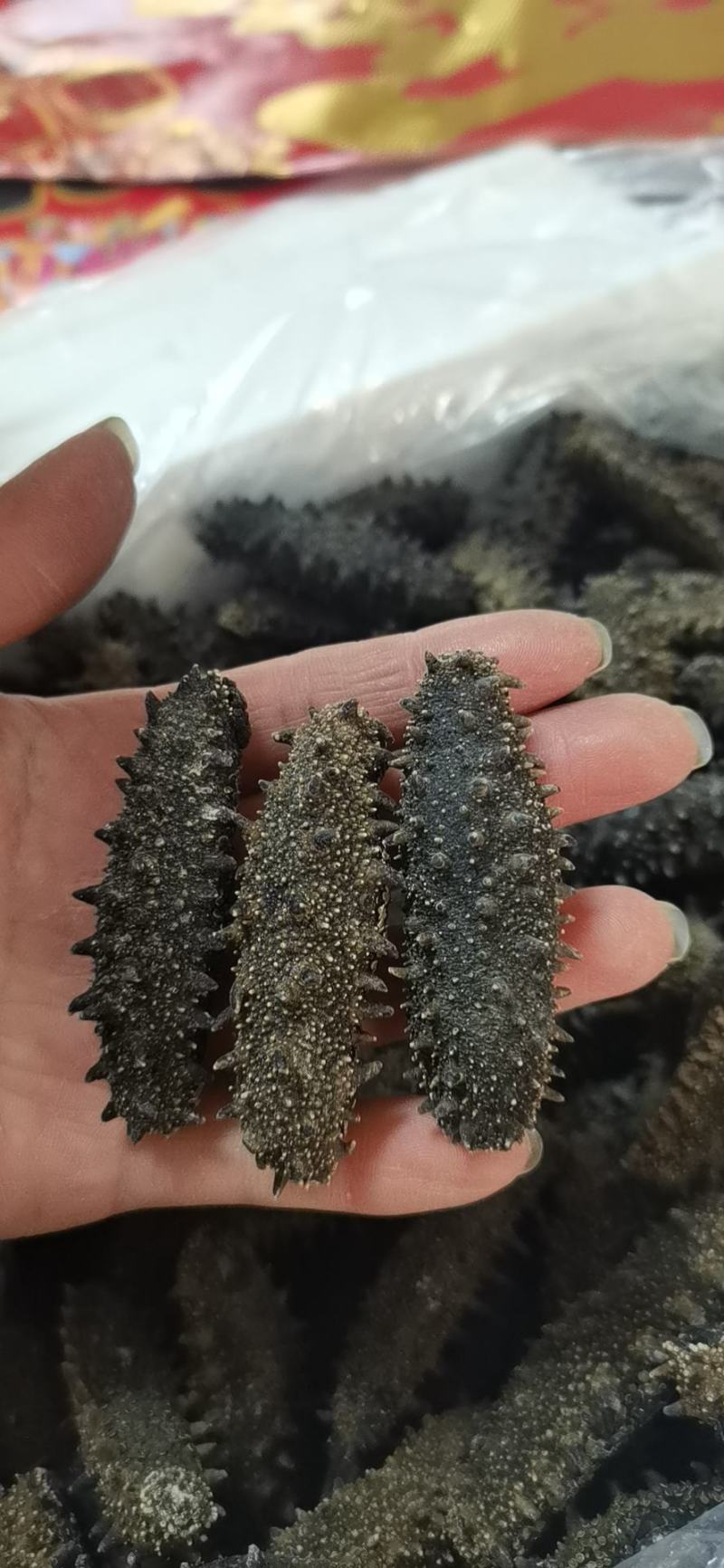 大连辽参，各种工艺，品种齐全，产地批发价格！品质保证！