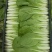 精品快菜小白菜，货源充足，品质保证，欢迎客商来选购