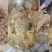 天麻猪苓蜜环菌萌发菌种花粉蒴果菌种新鲜天麻种子产地直销包