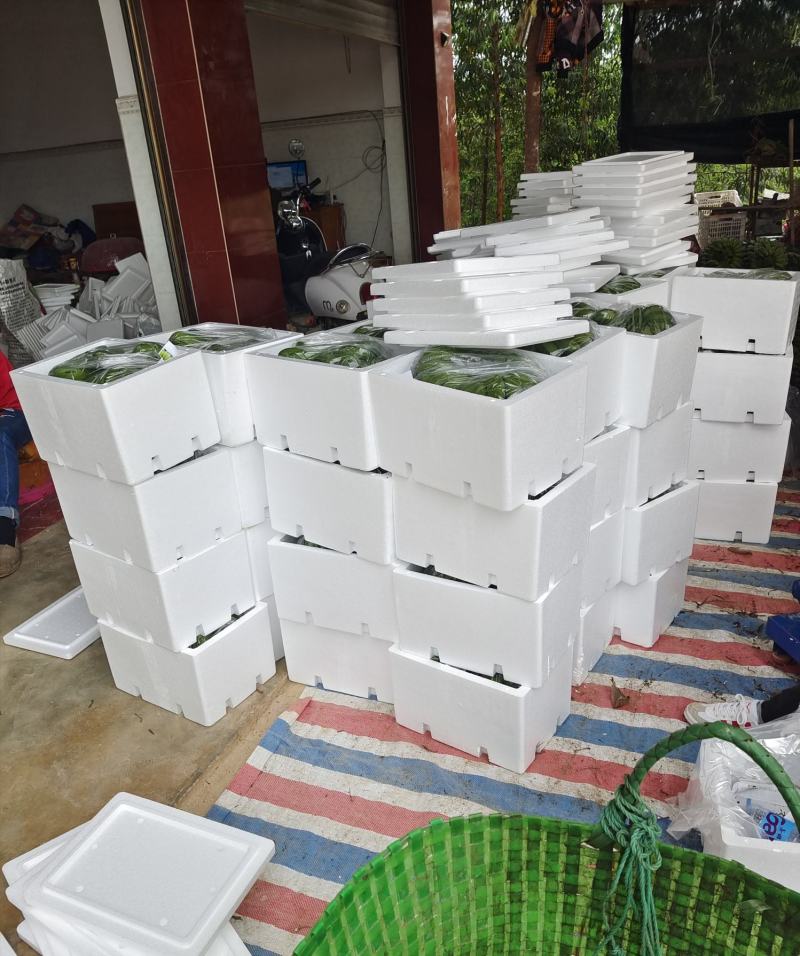 广西小米蕉软糯香甜应季新鲜水果香蕉批发薄皮