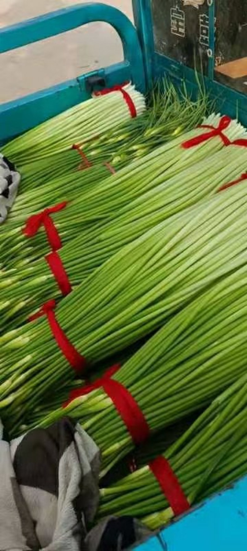 黄瓜，蒜薹