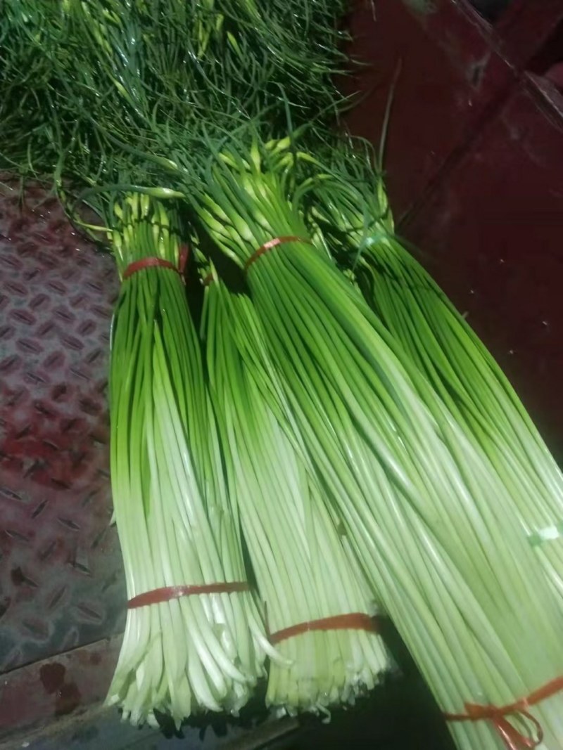 黄瓜，蒜薹