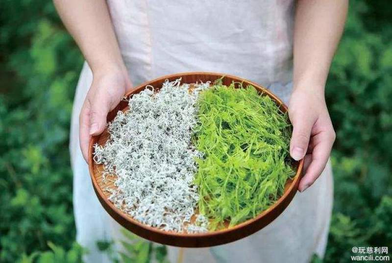2022莓茶新品。基地直发，品质保证。养生茶。