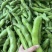 蚕豆