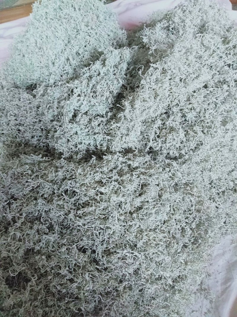 我想卖莓茶