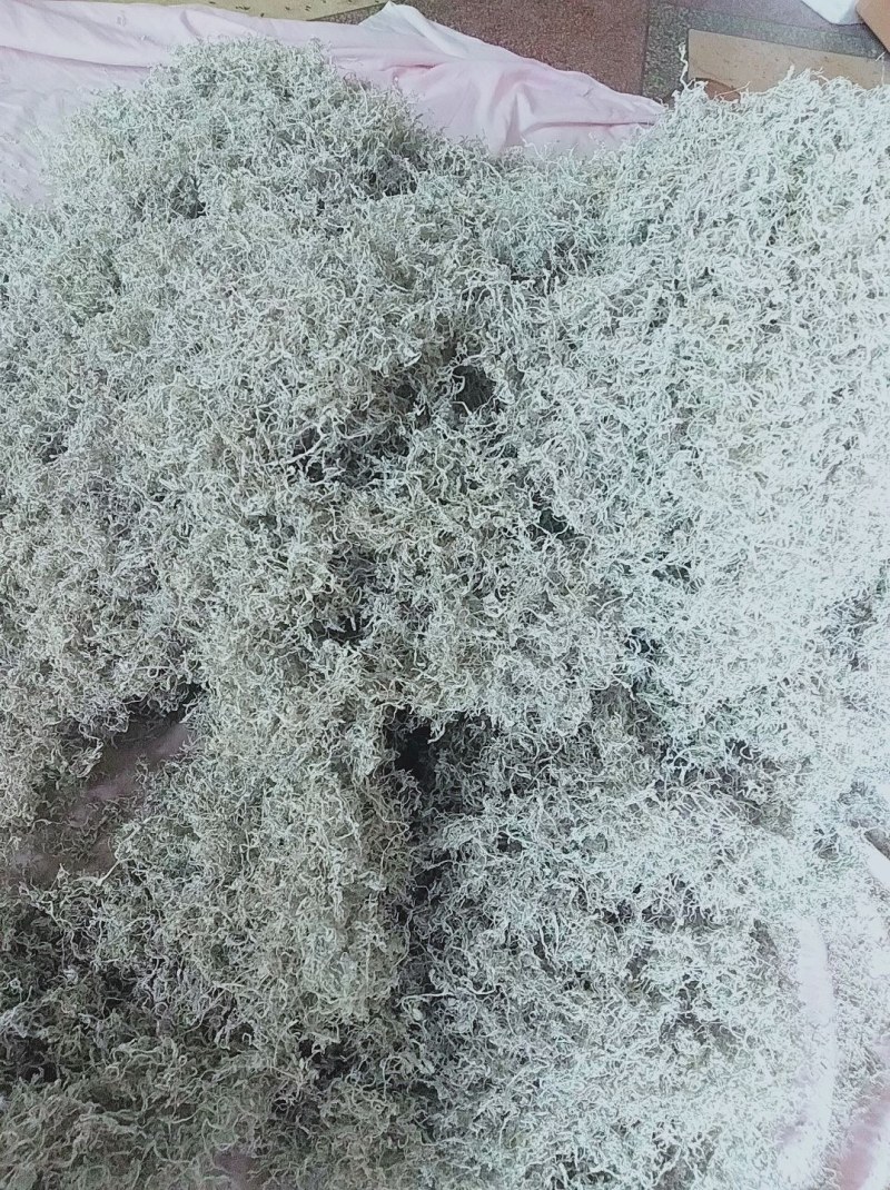我想卖莓茶