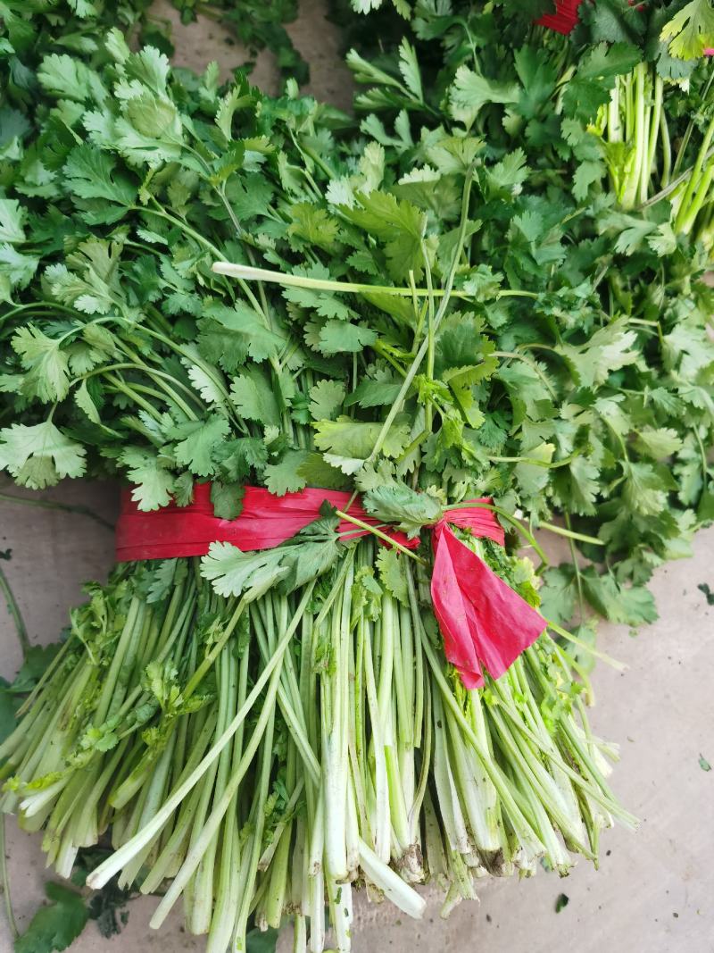 脱水蔬菜