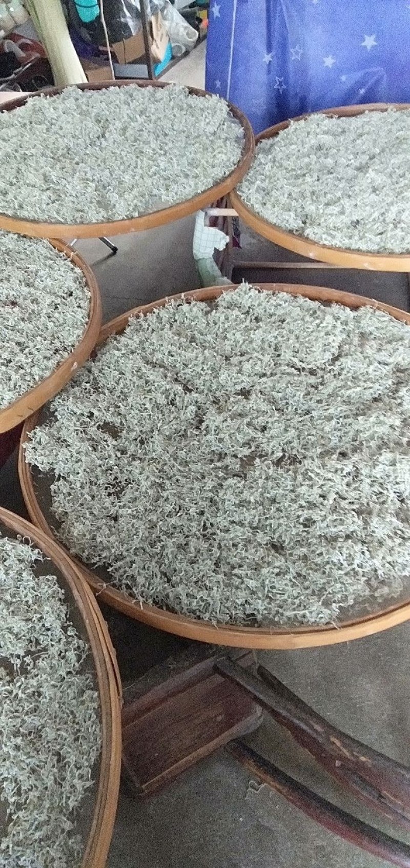 藤茶也叫做莓茶可以还解感冒喉咙痛咽喉炎