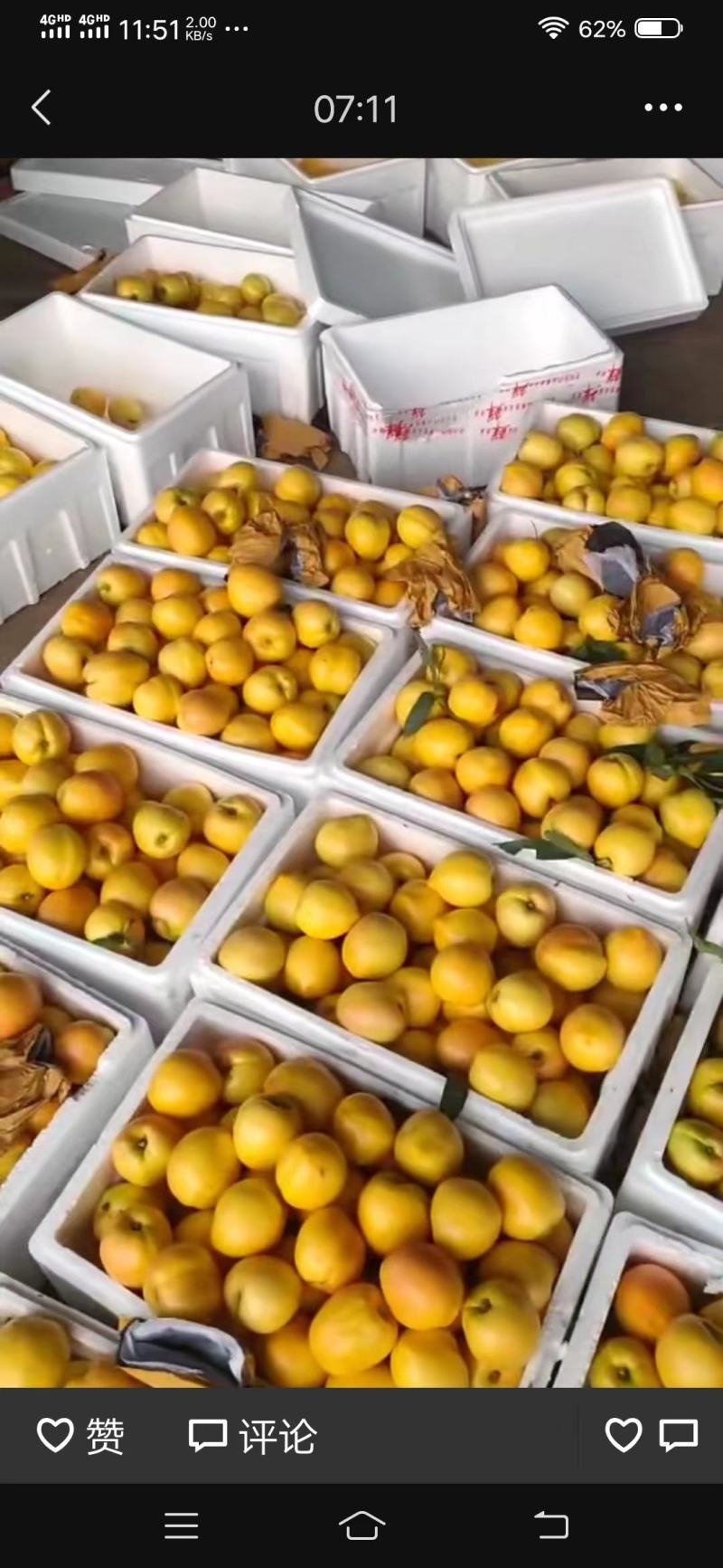 山东桃子油桃黄油桃大量上市现货，货源充足，全国发货，