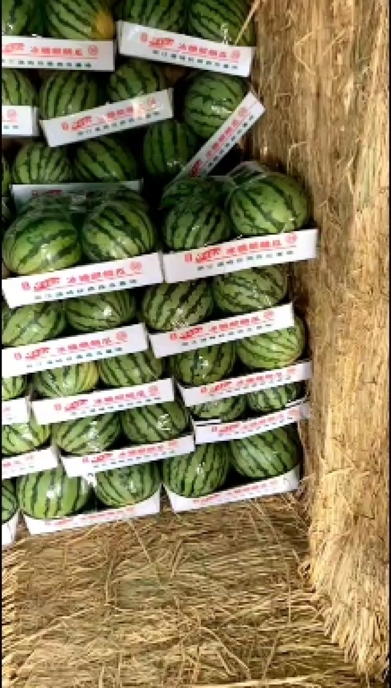 岳阳市8424麒麟西瓜头茬7斤打底，专业验瓜，良心经营