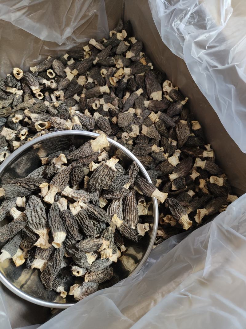 羊肚菌全干货头茬新货颜色鲜亮煲汤必备