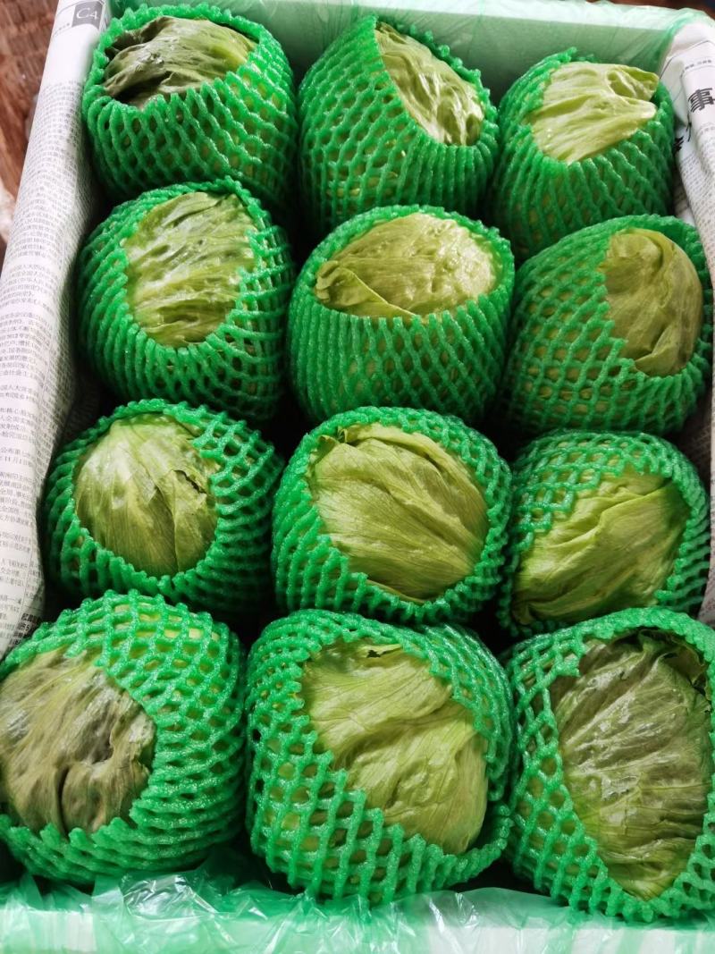 生菜球生菜新鲜圆西生菜沙拉菜汉堡蔬菜三明治食材