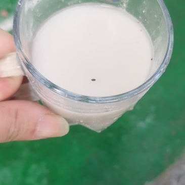 农民自晒纯红薯淀粉，100%包纯，