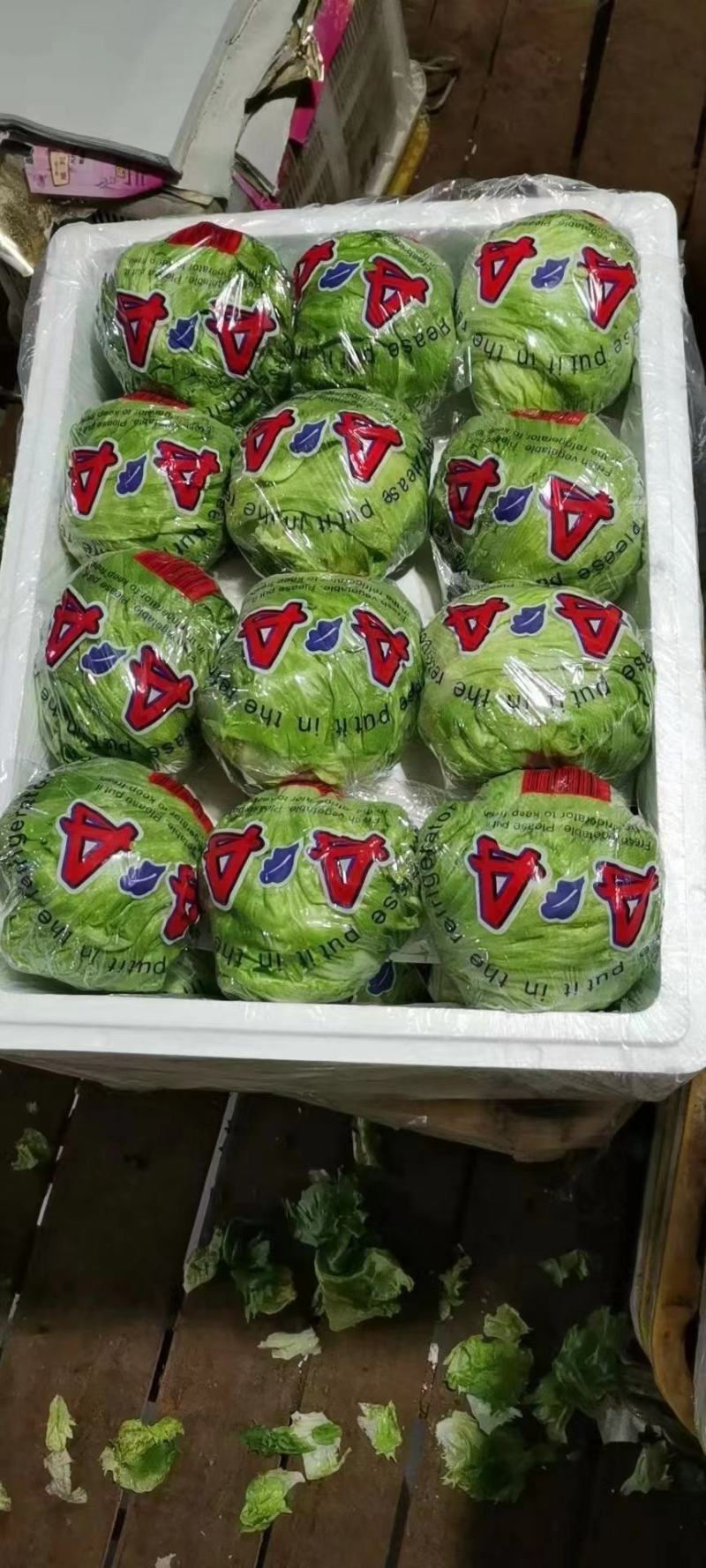 生菜球生菜新鲜圆西生菜沙拉菜汉堡蔬菜三明治食材