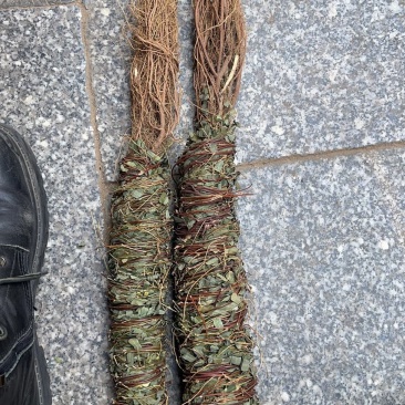 正宗带根部小叶野生鸡骨草，颜色好，非常漂亮，香味十足，