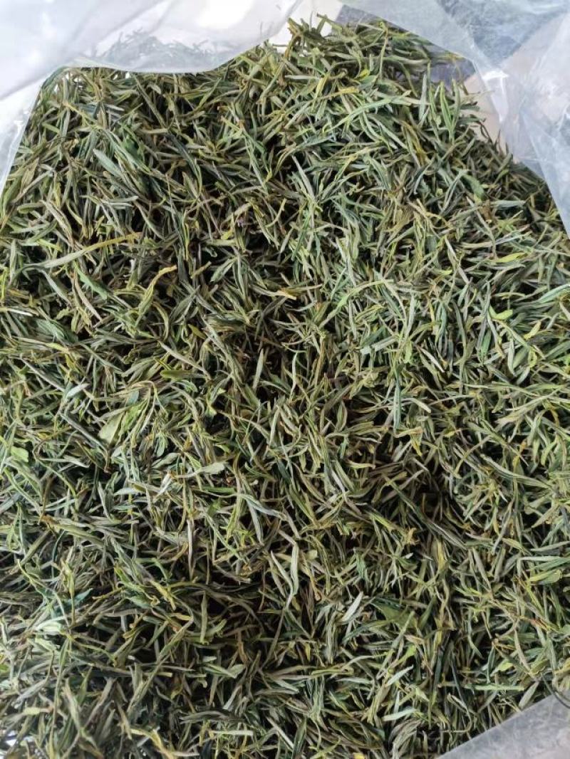黄山中期毛峰，每天大量供应，每天报价，保证质量，7日无理