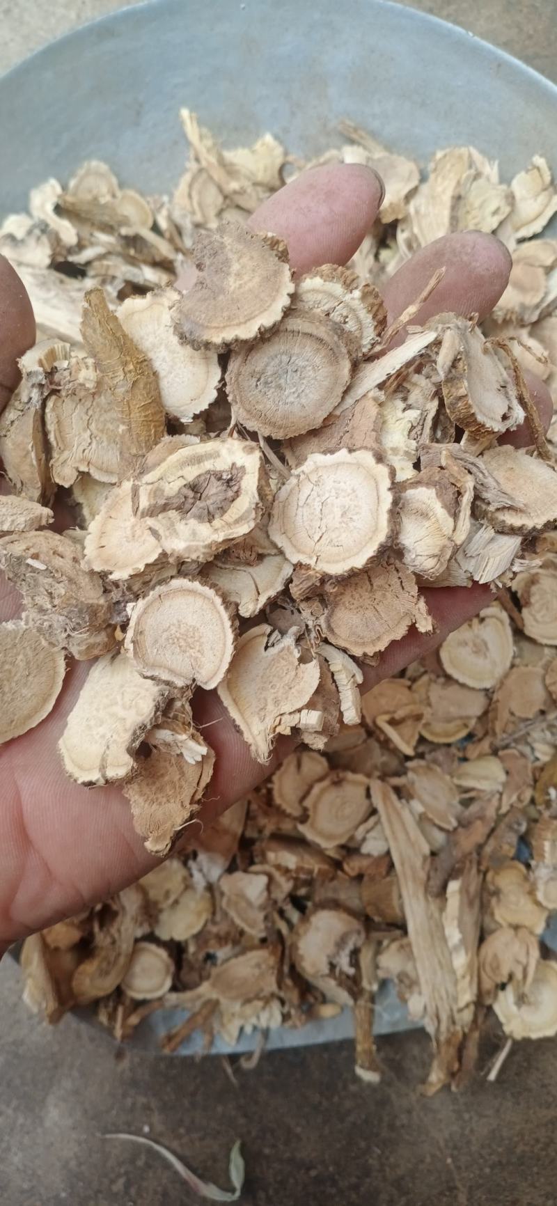 苦参片3年苦参片大货供应量大从优欢迎选购
