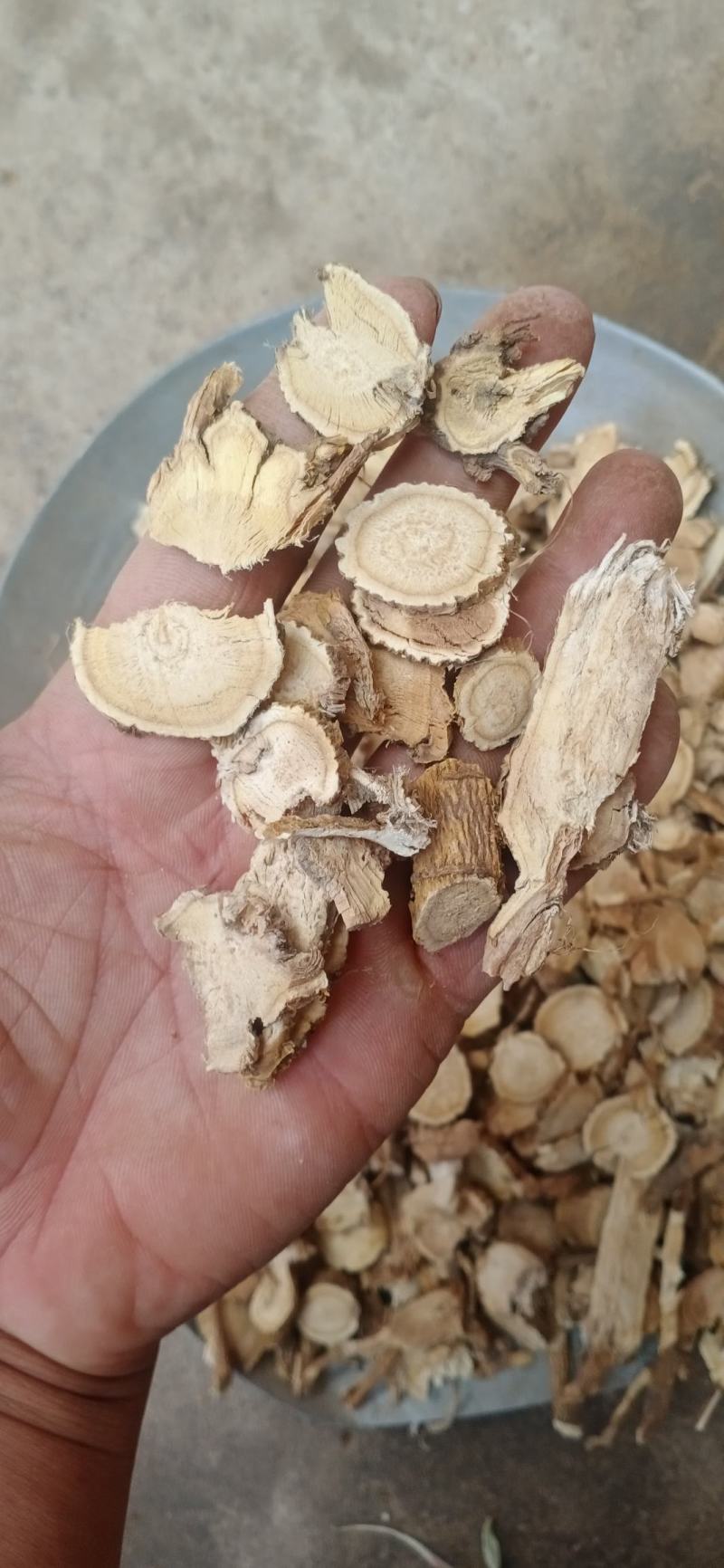 苦参片3年苦参片大货供应量大从优欢迎选购