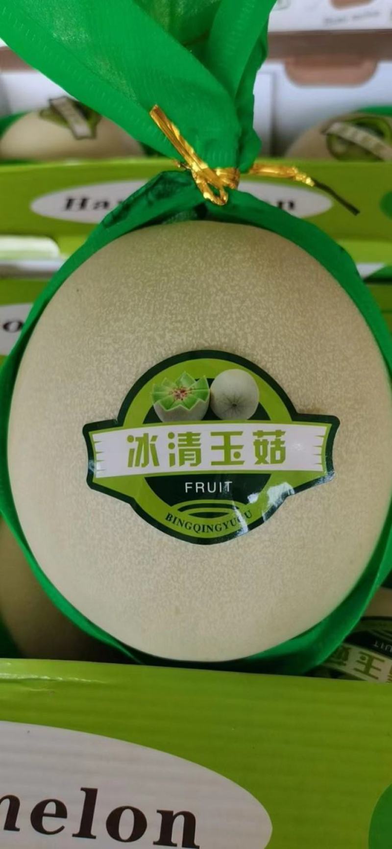 玉姑甜瓜，冰清玉姑，产地一手货源，商超，市场，电商微商