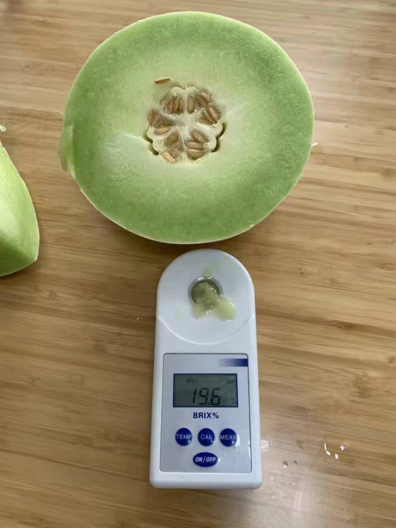 玉姑甜瓜，冰清玉姑，产地一手货源，商超，市场，电商微商