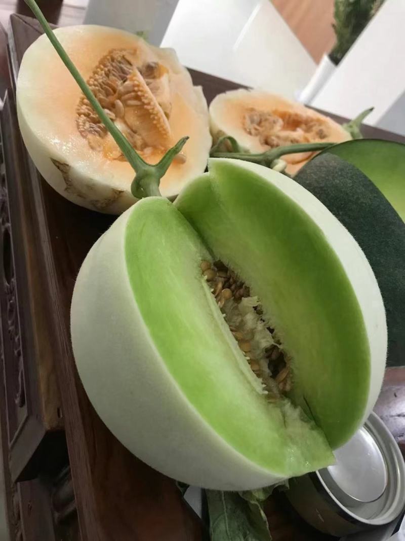 玉姑甜瓜，冰清玉姑，产地一手货源，商超，市场，电商微商