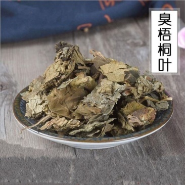 梧桐叶中药材臭梧桐叶野生臭梧桐叶另售臭梧桐花