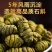 特惠正宗铁皮石斛