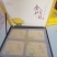 一手货源供应各种菊花苗：北京金丝皇菊婺源贡菊