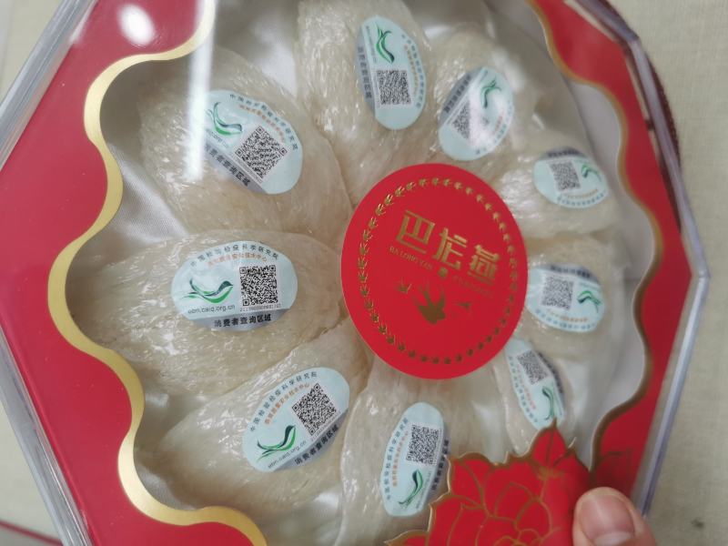 印度尼西亚密燕盏