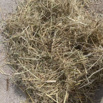 【东北花生秧草】货源充足品质保证可长期合作欢迎来电