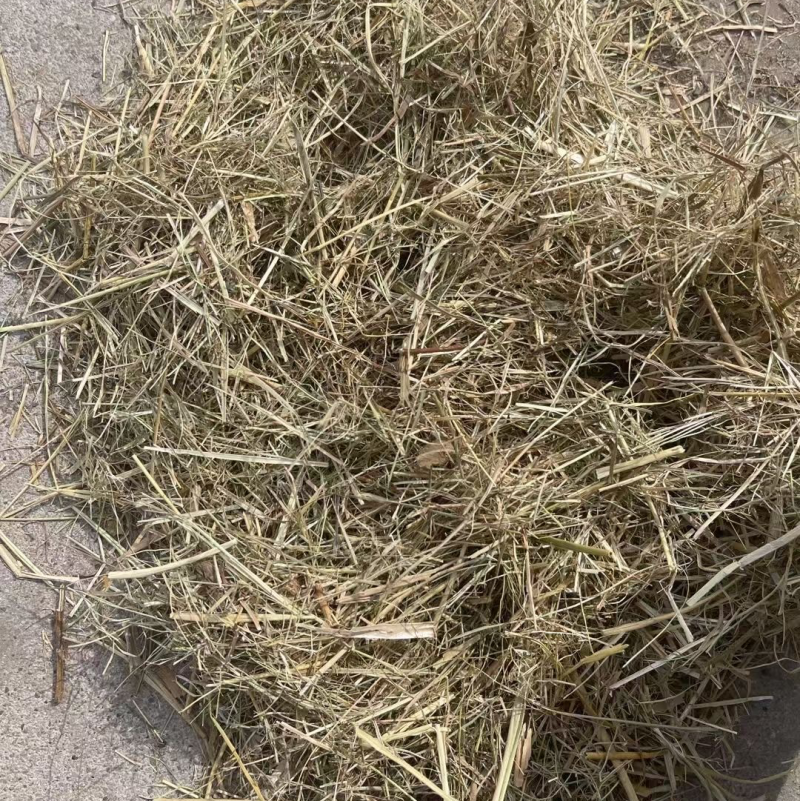 【东北花生秧草】货源充足品质保证可长期合作欢迎来电