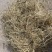 【东北花生秧草】货源充足品质保证可长期合作欢迎来电