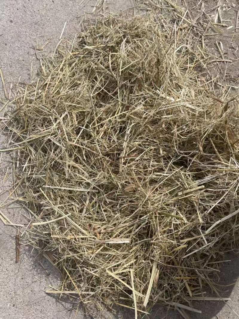 【东北花生秧草】货源充足品质保证可长期合作欢迎来电