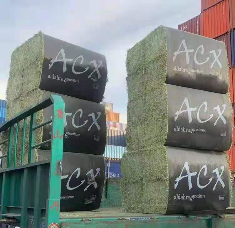 【优选】进口苜蓿草货源充足量大从优品质保证欢迎来电
