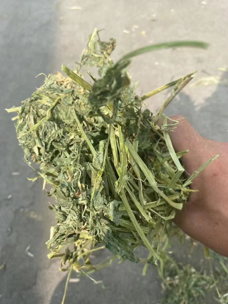【优选】进口苜蓿草货源充足量大从优品质保证欢迎来电