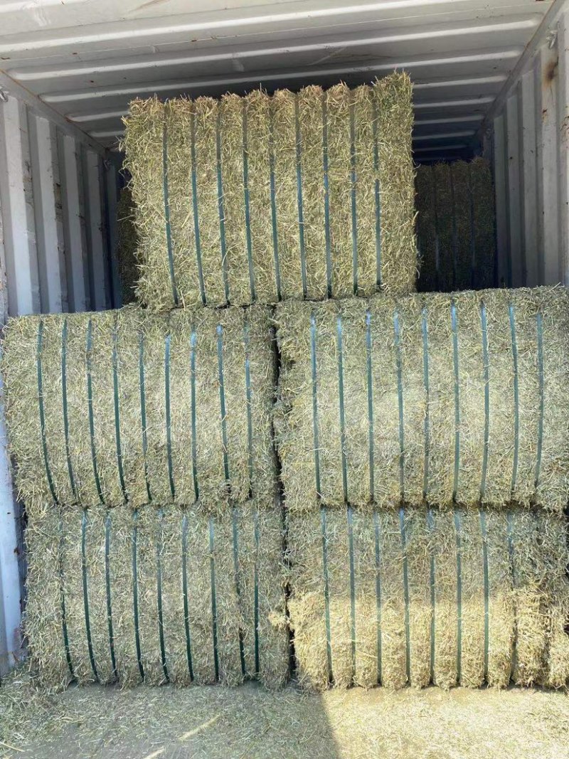 【优选】进口苜蓿草货源充足量大从优品质保证欢迎来电