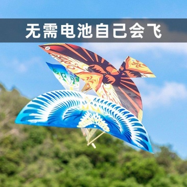 儿童玩具鲁班大飞鸟不用油不用电地摊公园广场益智玩具