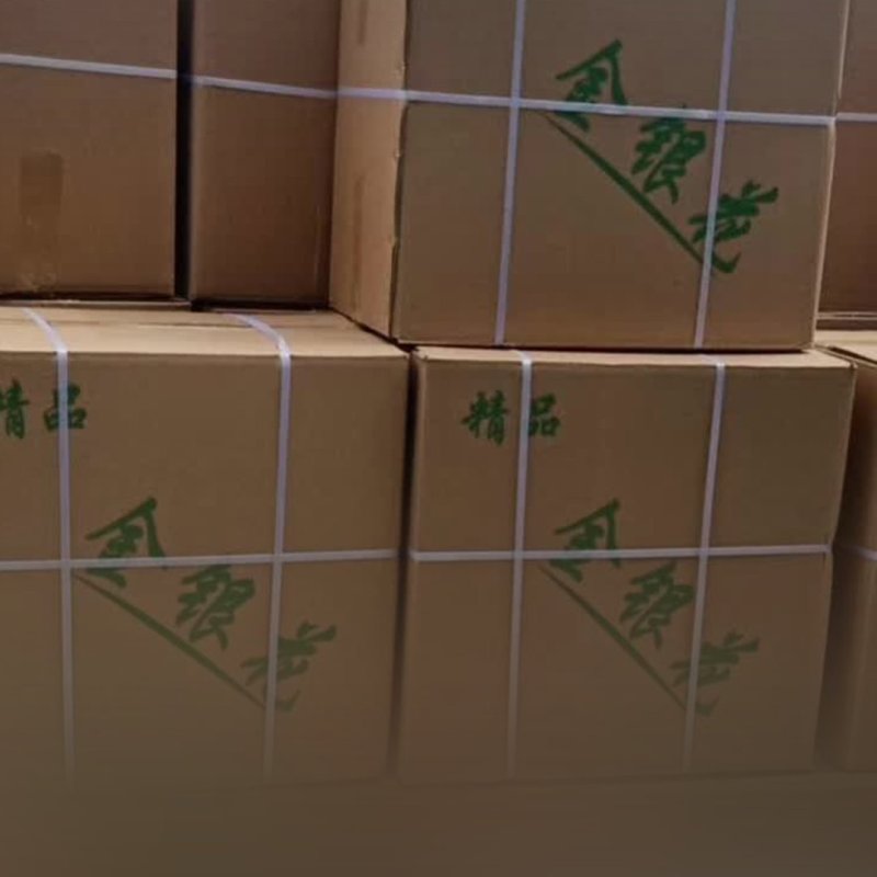 金边玫瑰诚信经营欢迎选购