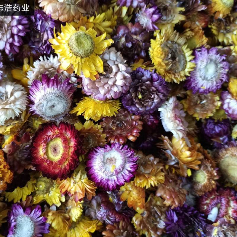 金边玫瑰诚信经营欢迎选购