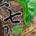云南文山三七根须传统滋养田七根须煲汤三七毛根