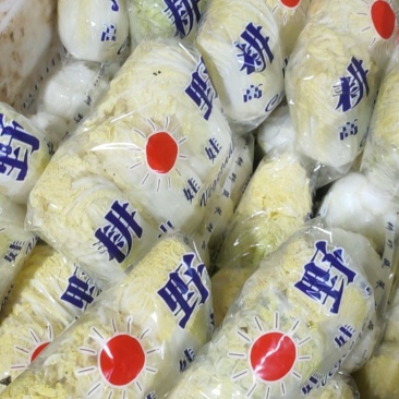 叶菜油麦大利上海青，黄白包介春菜娃娃菜