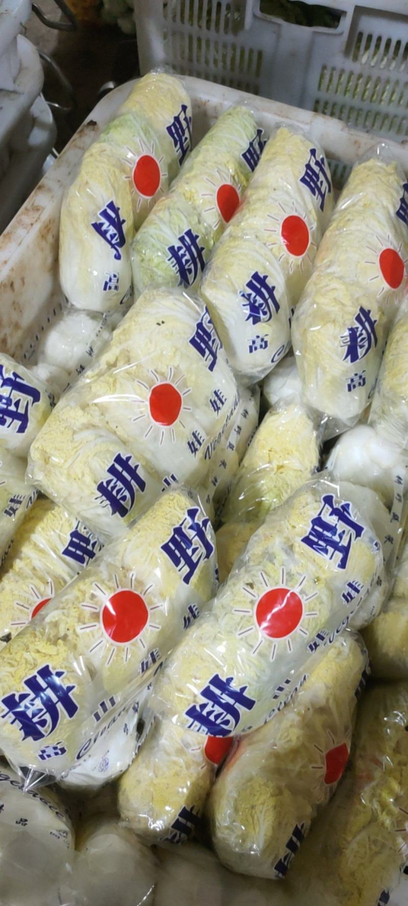 叶菜油麦大利上海青，黄白包介春菜娃娃菜