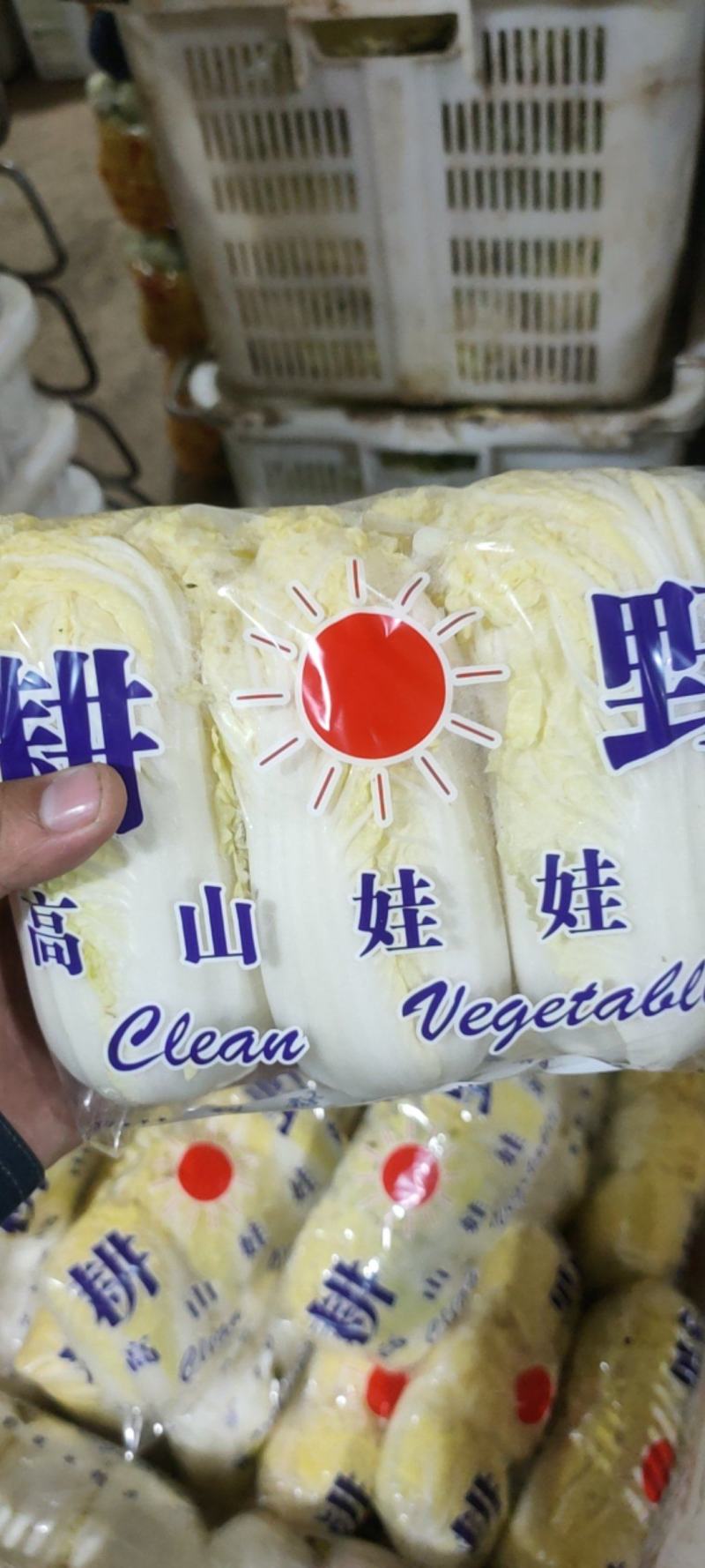 叶菜油麦大利上海青，黄白包介春菜娃娃菜