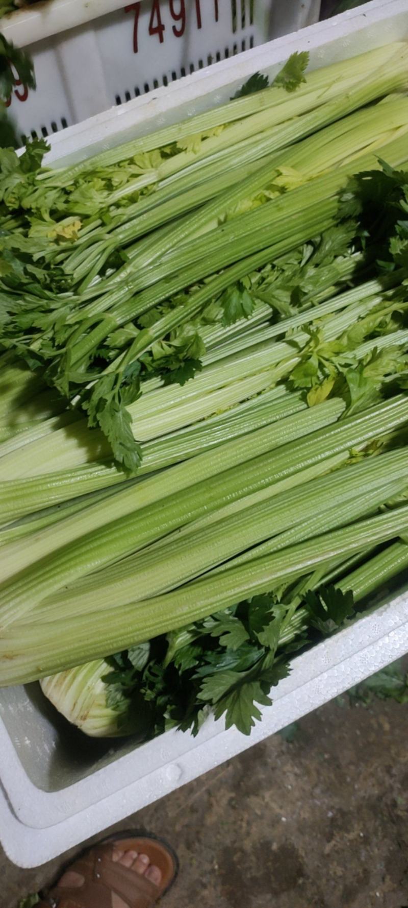 叶菜油麦大利上海青，黄白包介春菜娃娃菜