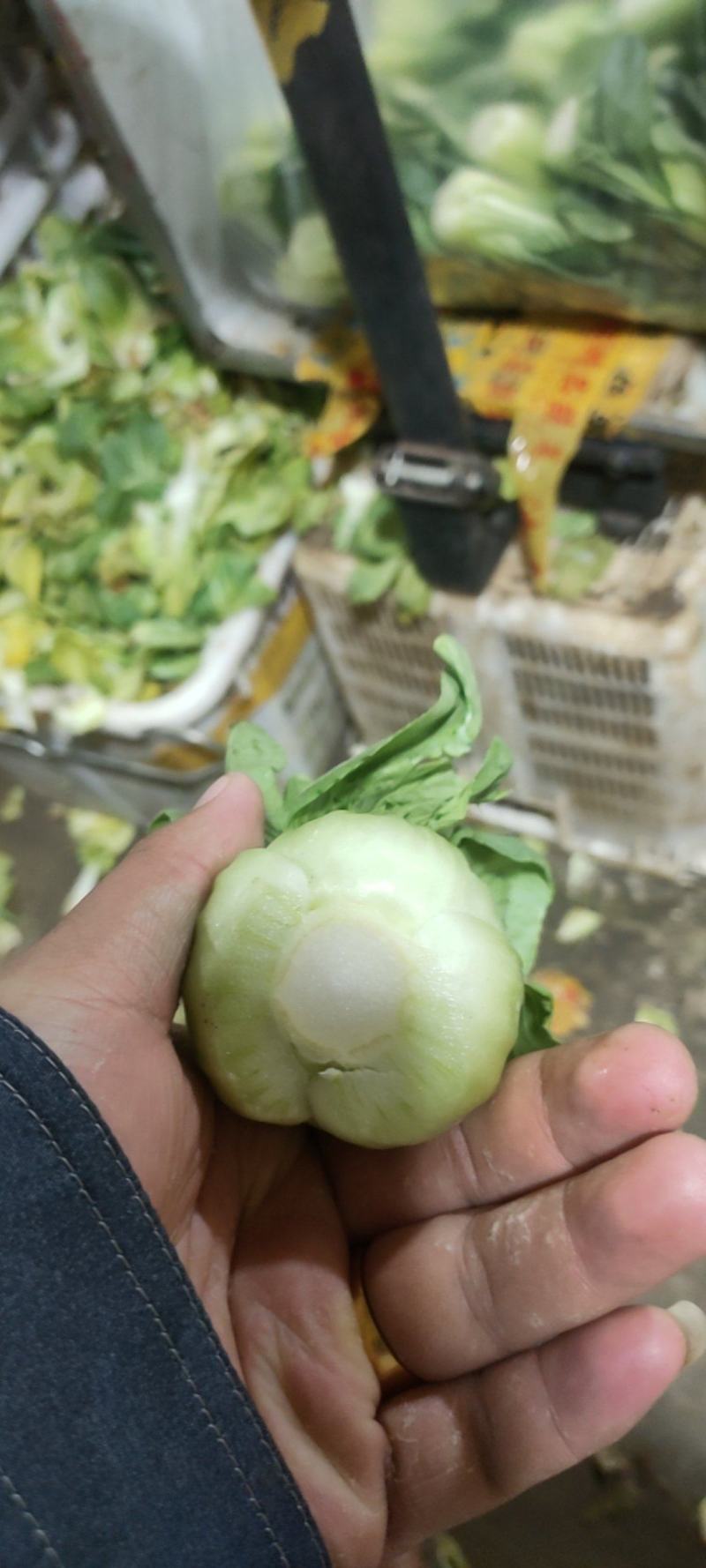 叶菜油麦大利上海青，黄白包介春菜娃娃菜