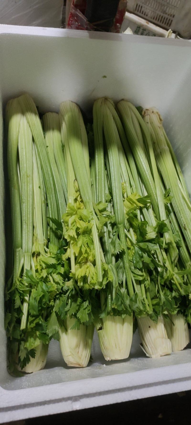 叶菜油麦大利上海青，黄白包介春菜娃娃菜