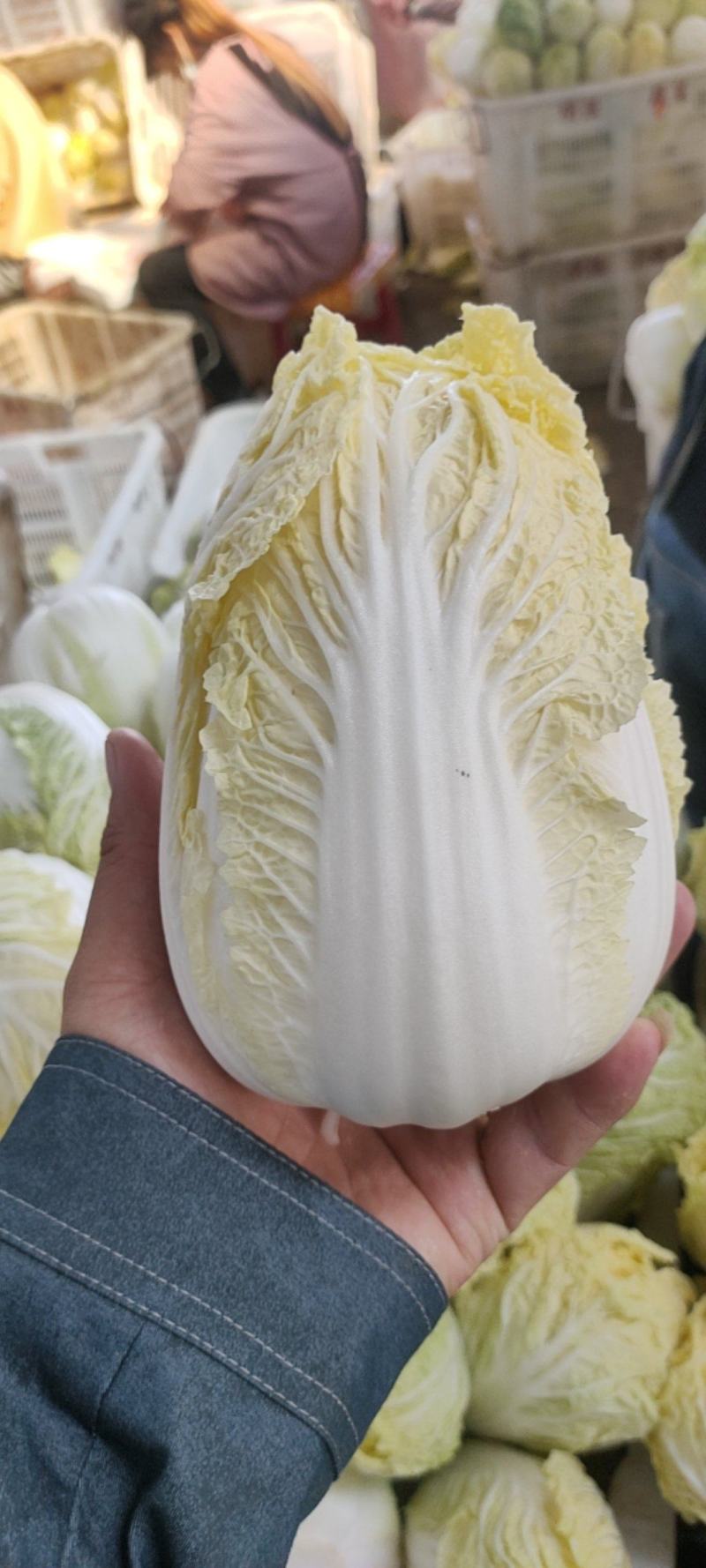 叶菜油麦大利上海青，黄白包介春菜娃娃菜