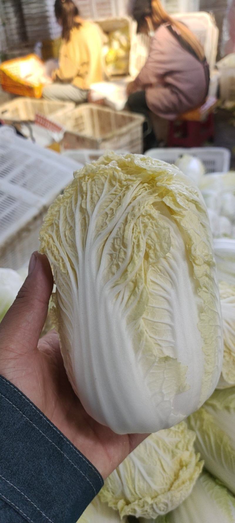 叶菜油麦大利上海青，黄白包介春菜娃娃菜