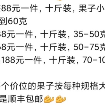大五星枇杷
