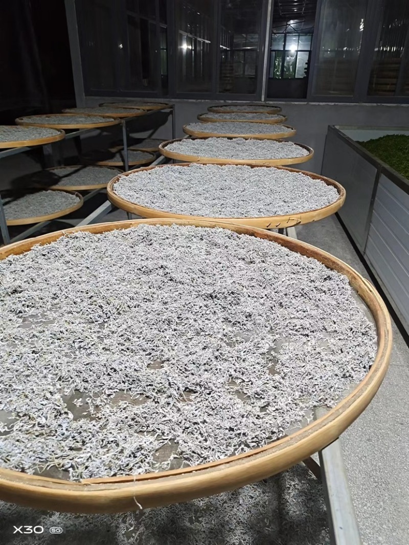 【莓茶】湖南湘西藤茶正宗龙须茶色泽透亮欢迎采购